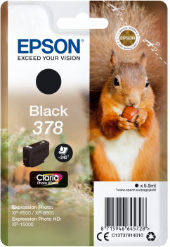 EPSON cartridge T3781 black