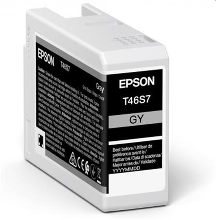 EPSON cartridge T46S7 gray