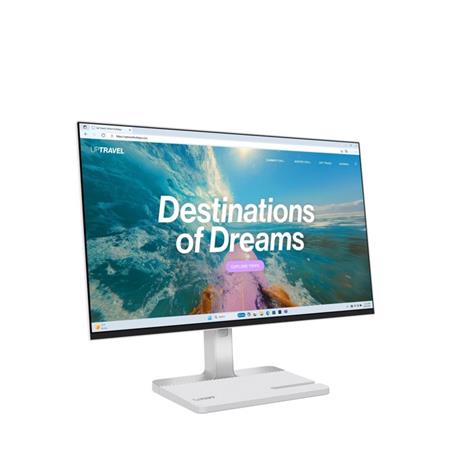 Lenovo CONS LCD L24D-4C, stříbrná (67DCUAC6EU)