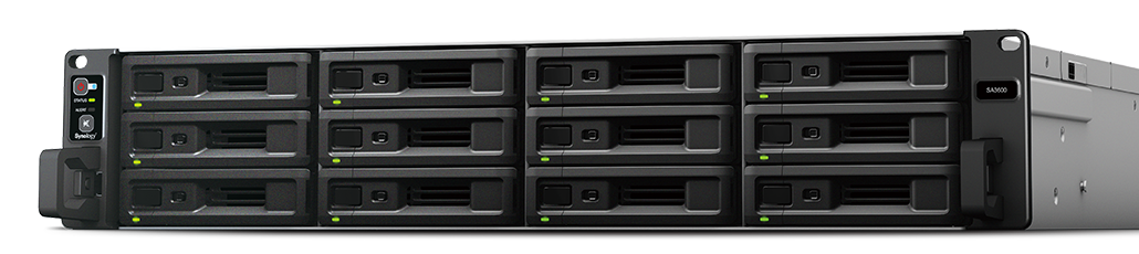 Synology DiskStation SA3600, 12x SATA server,